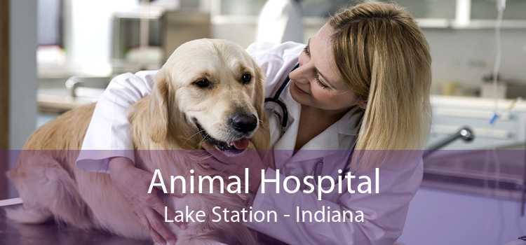 Animal Hospital Lake Station - Indiana
