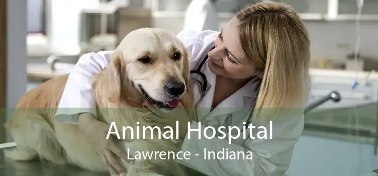 Animal Hospital Lawrence - Indiana