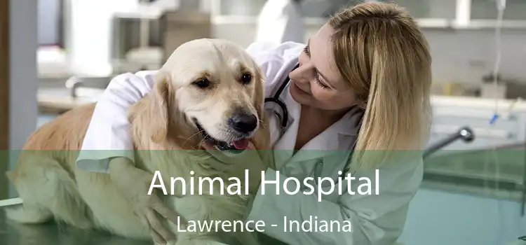 Animal Hospital Lawrence - Indiana