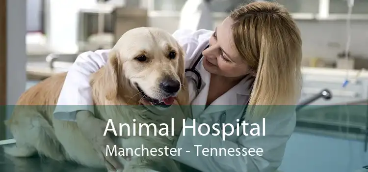 Animal Hospital Manchester - Tennessee