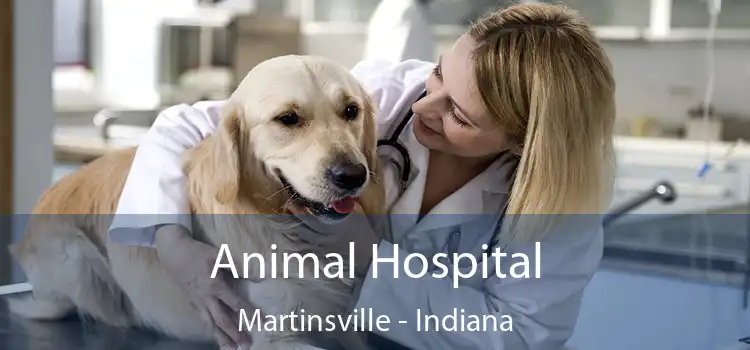 Animal Hospital Martinsville - Indiana