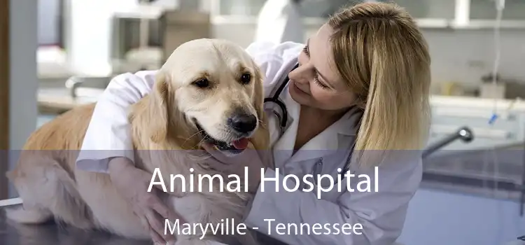 Animal Hospital Maryville - Tennessee