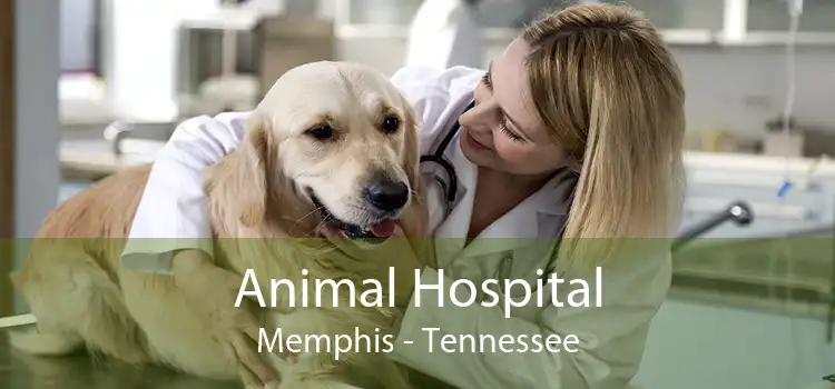Animal Hospital Memphis - Tennessee