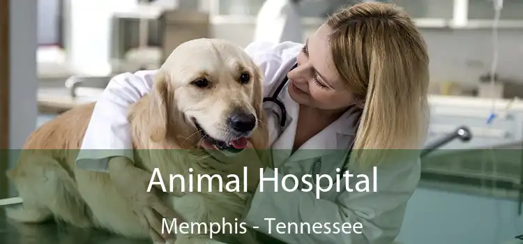 Animal Hospital Memphis - Tennessee