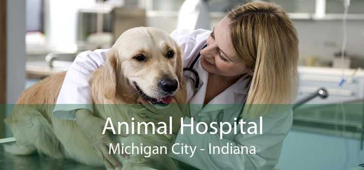 Animal Hospital Michigan City - Indiana