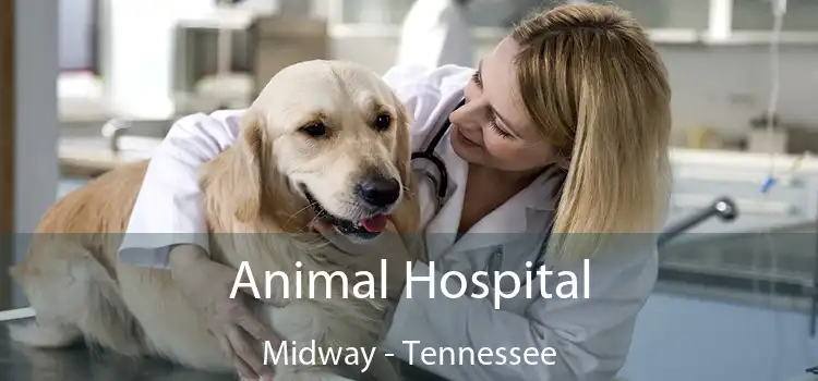 Animal Hospital Midway - Tennessee