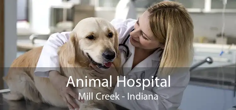 Animal Hospital Mill Creek - Indiana