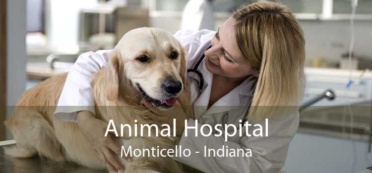 Animal Hospital Monticello - Indiana
