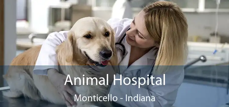 Animal Hospital Monticello - Indiana