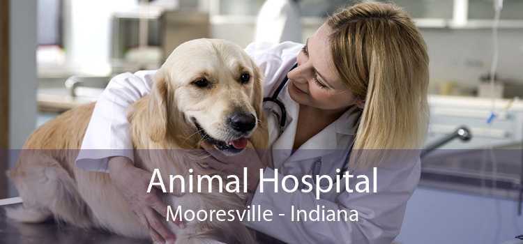 Animal Hospital Mooresville - Indiana