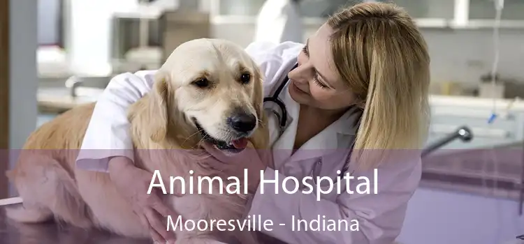 Animal Hospital Mooresville - Indiana