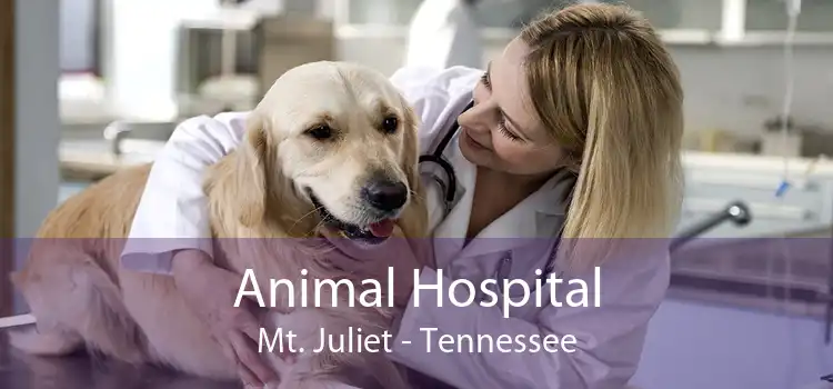 Animal Hospital Mt. Juliet - Tennessee
