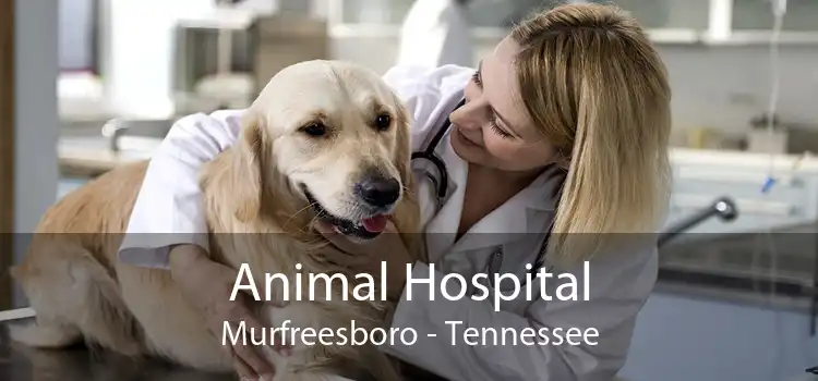 Animal Hospital Murfreesboro - Tennessee