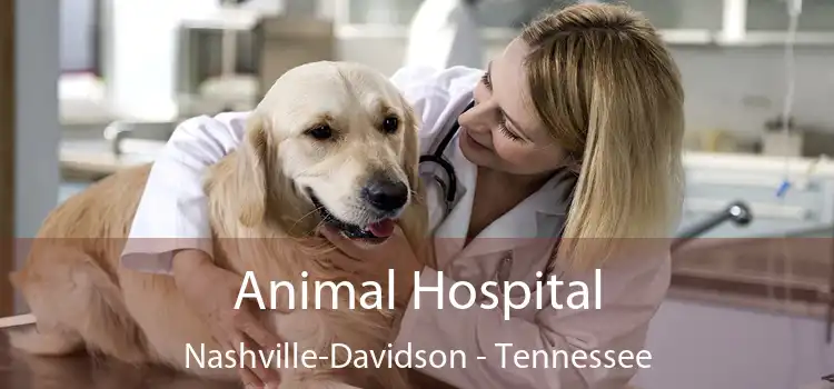 Animal Hospital Nashville-Davidson - Tennessee