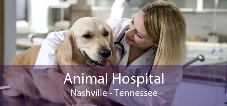 Animal Hospital Nashville - Tennessee