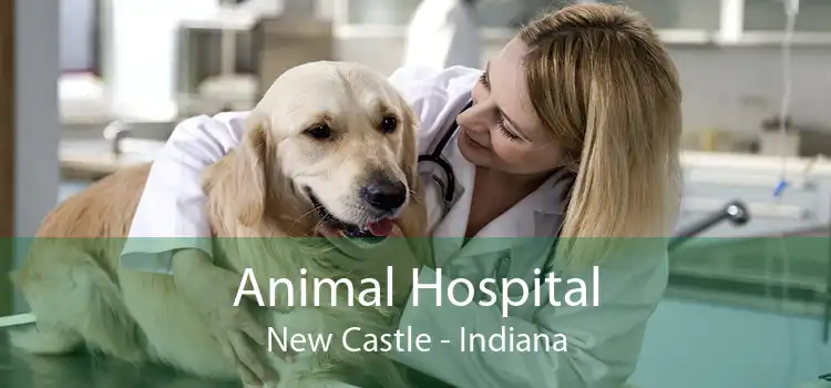 Animal Hospital New Castle - Indiana