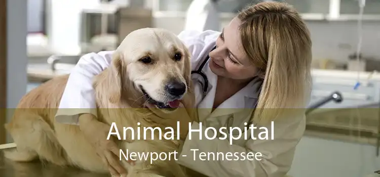 Animal Hospital Newport - Tennessee