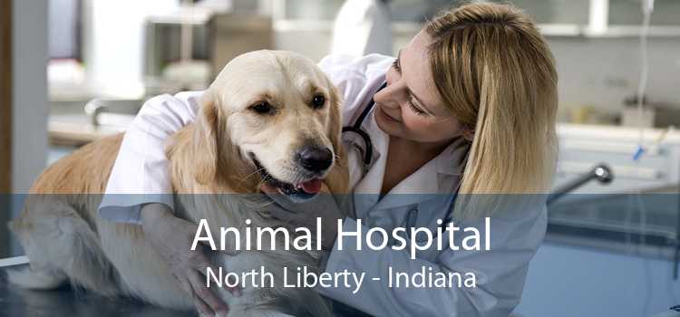 Animal Hospital North Liberty - Indiana