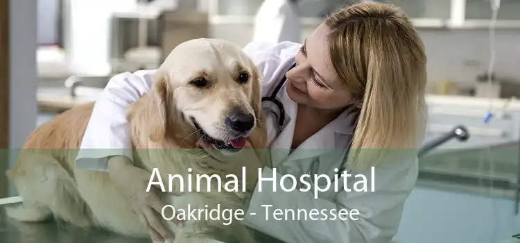 Animal Hospital Oakridge - Tennessee