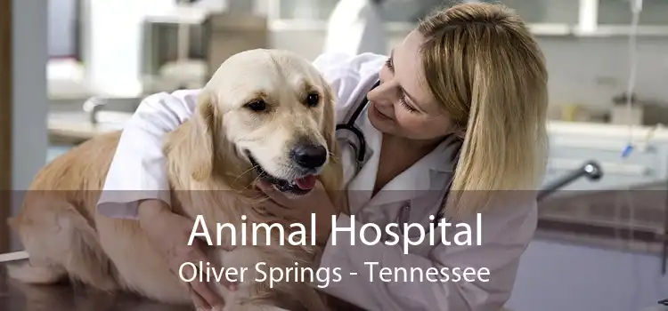 Animal Hospital Oliver Springs - Tennessee