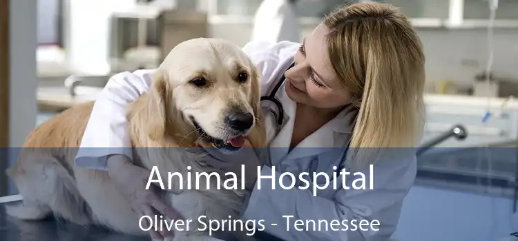 Animal Hospital Oliver Springs - Tennessee