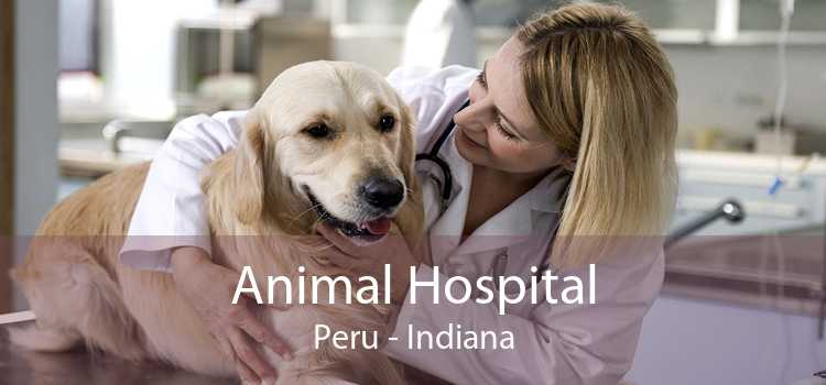 Animal Hospital Peru - Indiana