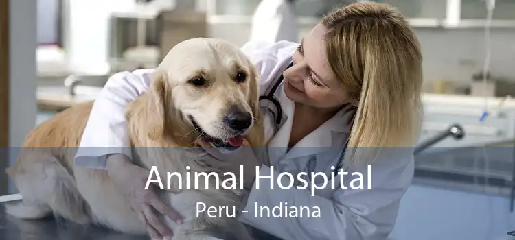 Animal Hospital Peru - Indiana
