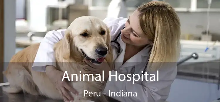 Animal Hospital Peru - Indiana