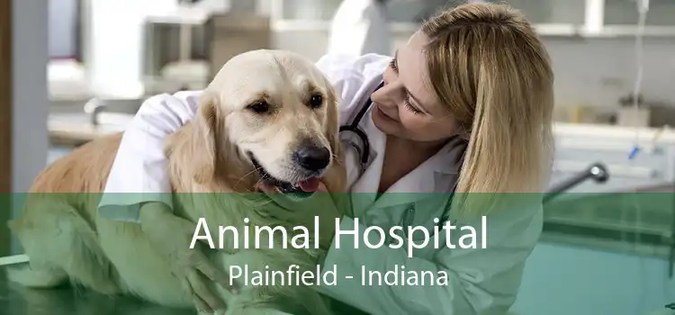 Animal Hospital Plainfield - Indiana
