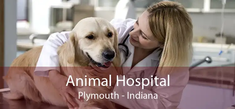 Animal Hospital Plymouth - Indiana