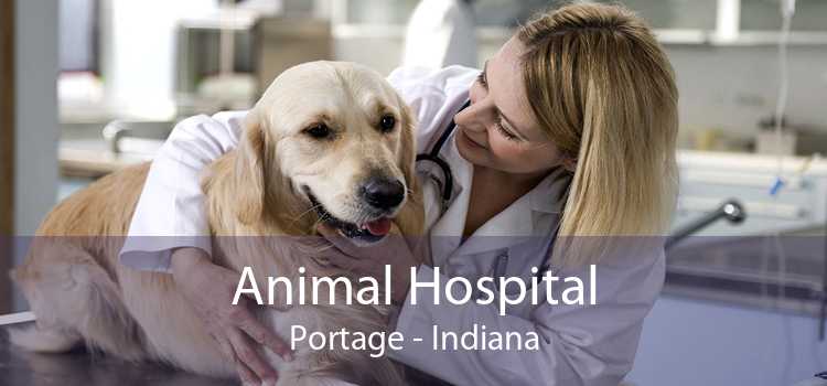 Animal Hospital Portage - Indiana