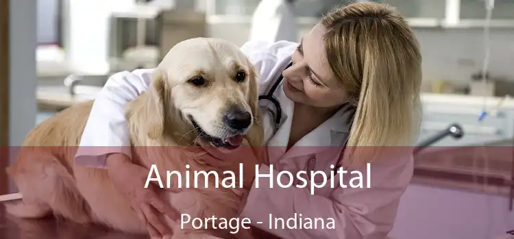 Animal Hospital Portage - Indiana