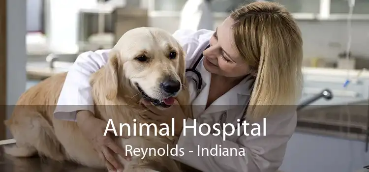 Animal Hospital Reynolds - Indiana