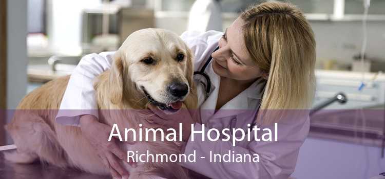 Animal Hospital Richmond - Indiana