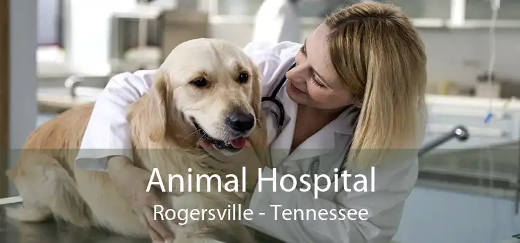 Animal Hospital Rogersville - Tennessee