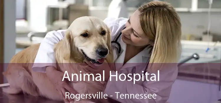 Animal Hospital Rogersville - Tennessee