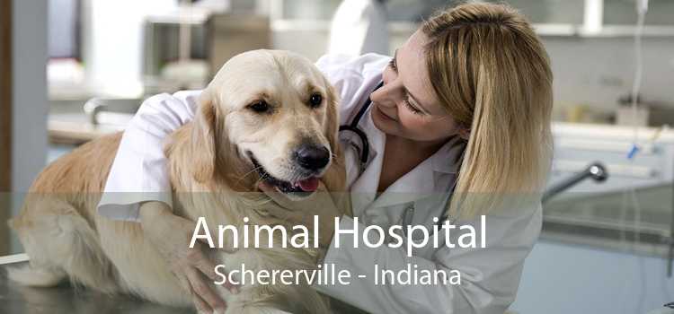 Animal Hospital Schererville - Indiana
