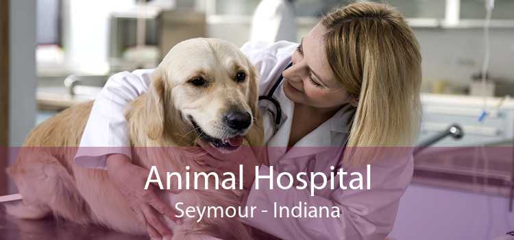 Animal Hospital Seymour - Indiana