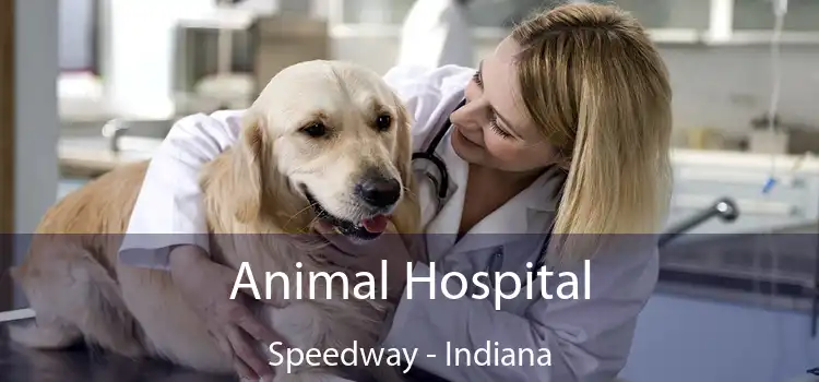 Animal Hospital Speedway - Indiana