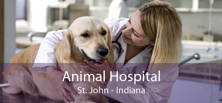 Animal Hospital St. John - Indiana