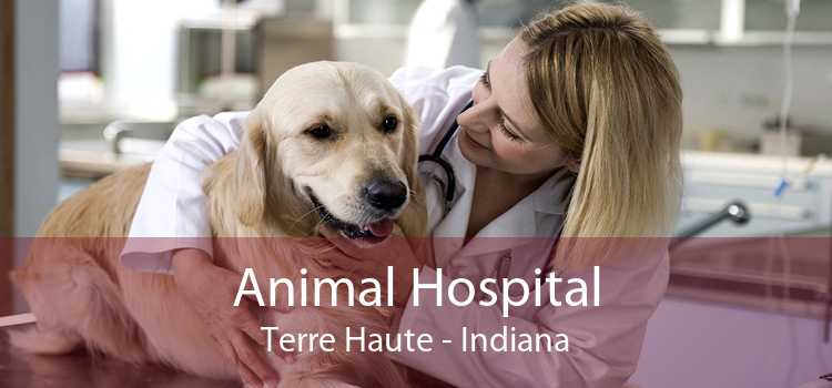 Animal Hospital Terre Haute - Indiana