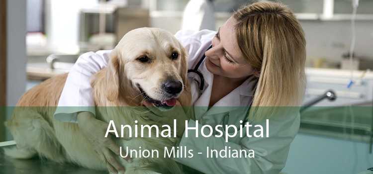 Animal Hospital Union Mills - Indiana