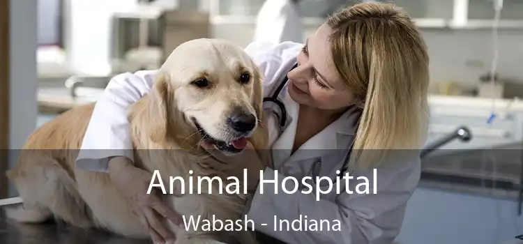 Animal Hospital Wabash - Indiana