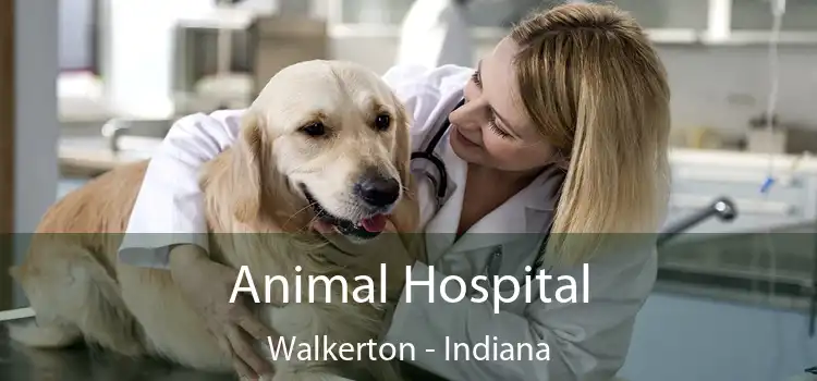 Animal Hospital Walkerton - Indiana