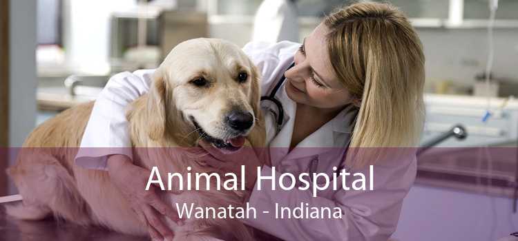 Animal Hospital Wanatah - Indiana