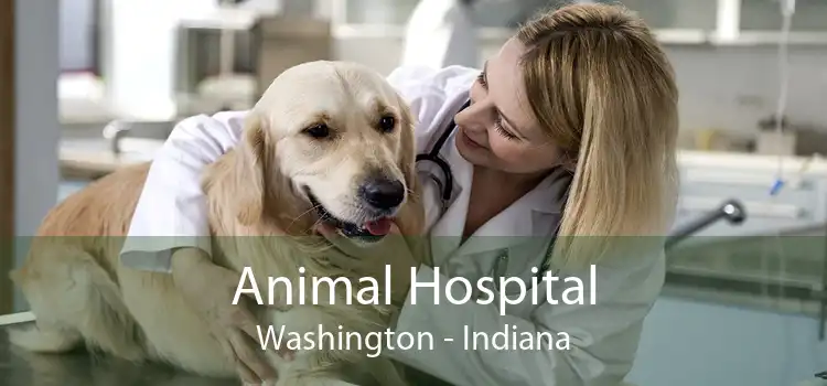 Animal Hospital Washington - Indiana