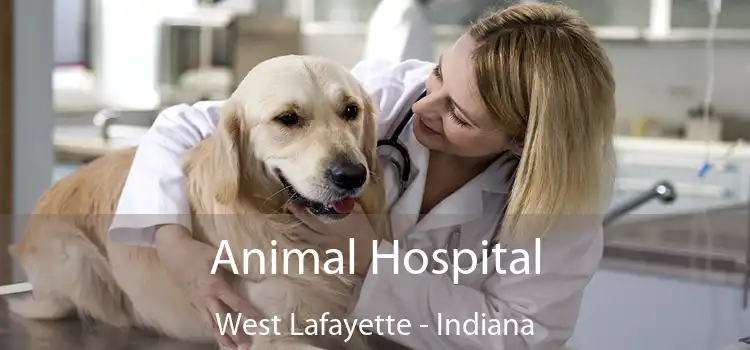 Animal Hospital West Lafayette - Indiana