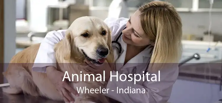 Animal Hospital Wheeler - Indiana