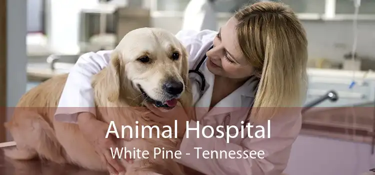 Animal Hospital White Pine - Tennessee