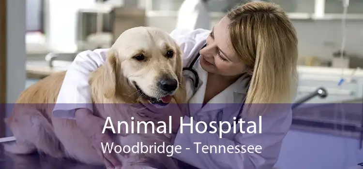 Animal Hospital Woodbridge - Tennessee
